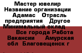 Мастер-ювелир › Название организации ­ Адамас › Отрасль предприятия ­ Другое › Минимальный оклад ­ 27 000 - Все города Работа » Вакансии   . Амурская обл.,Благовещенск г.